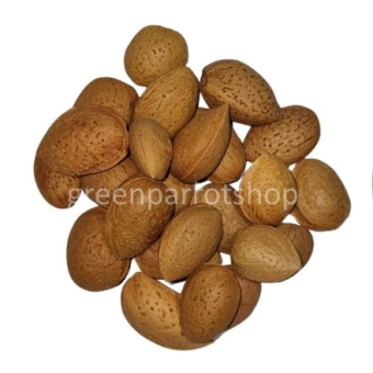 Amandes en coques 