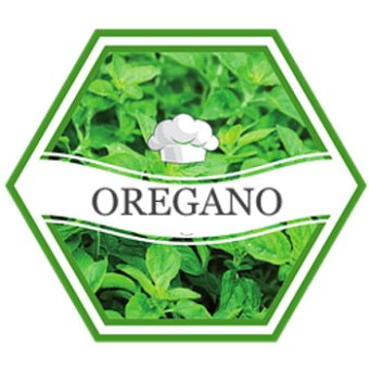 oregano