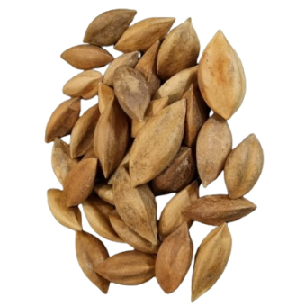 Noix de pili 1 kg