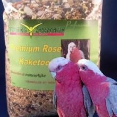 Galah select 2 kg