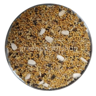 Large Parakeet seedblend 2 kg