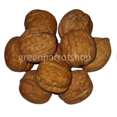 Walnuts in shell 350 gr